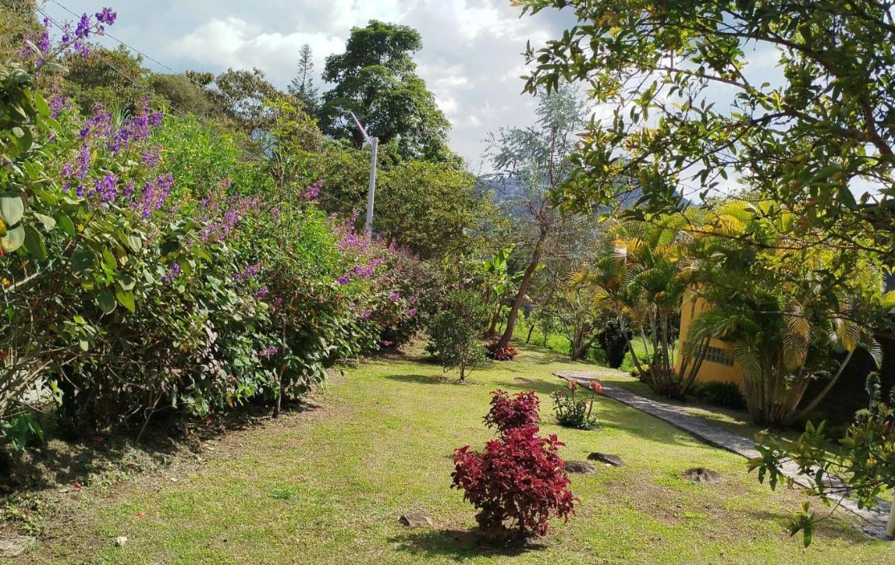 Jardin Utopia Luaran gambar