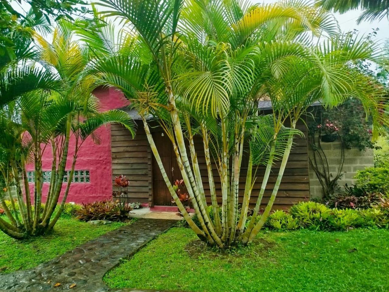 Jardin Utopia Luaran gambar
